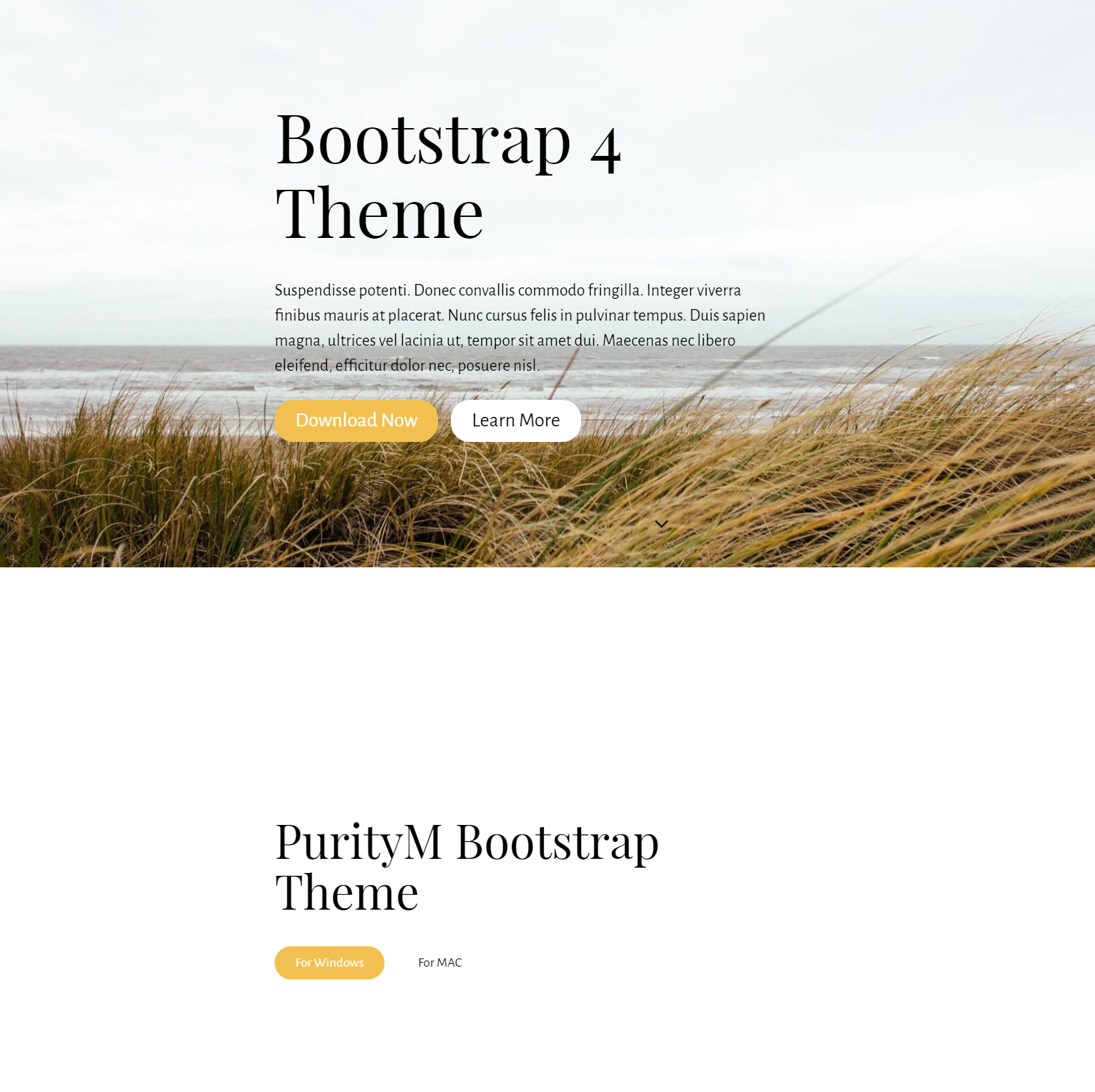 CSS3 Bootstrap 4 Themes