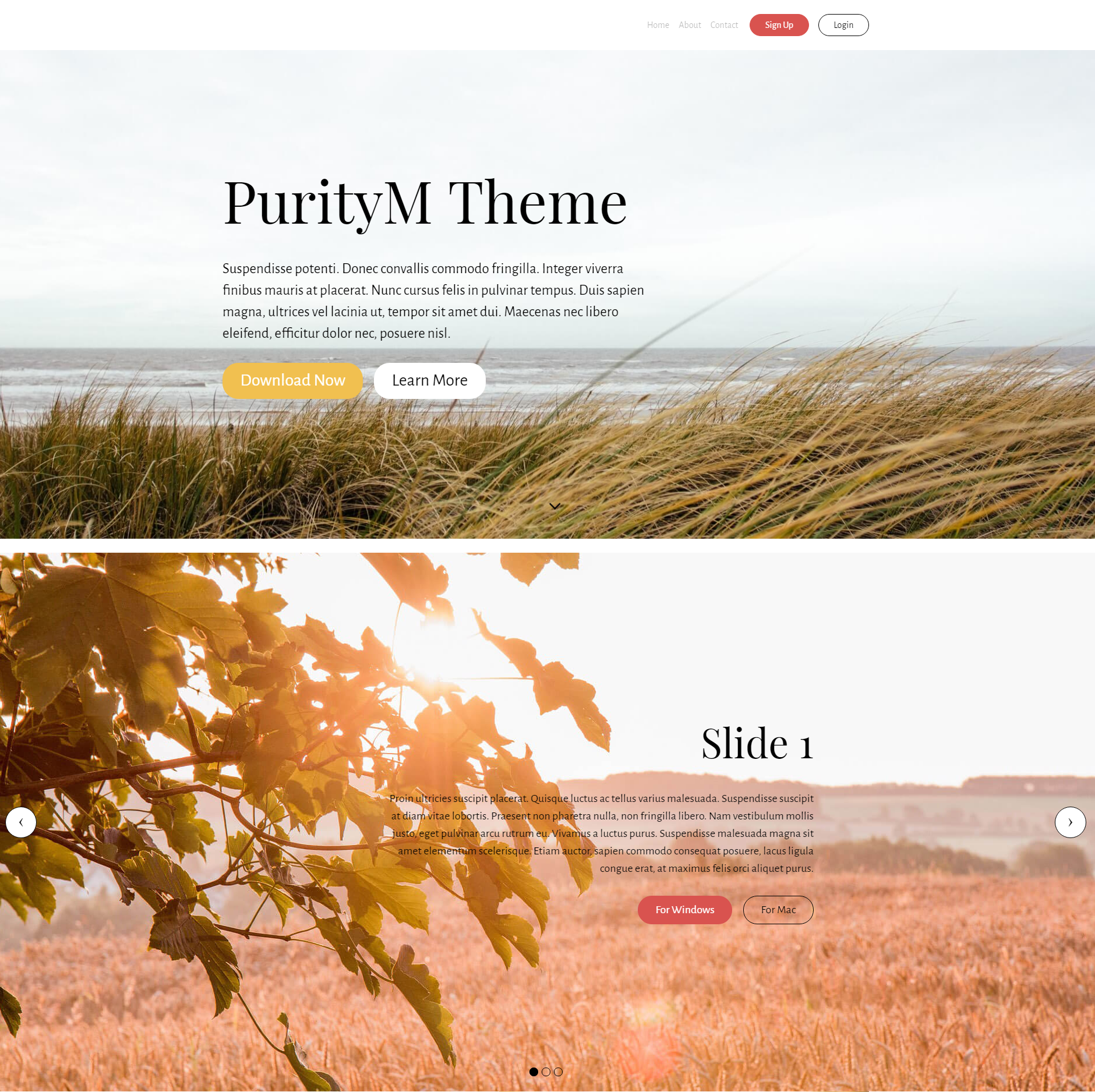 HTML5 Bootstrap PurityM Themes
