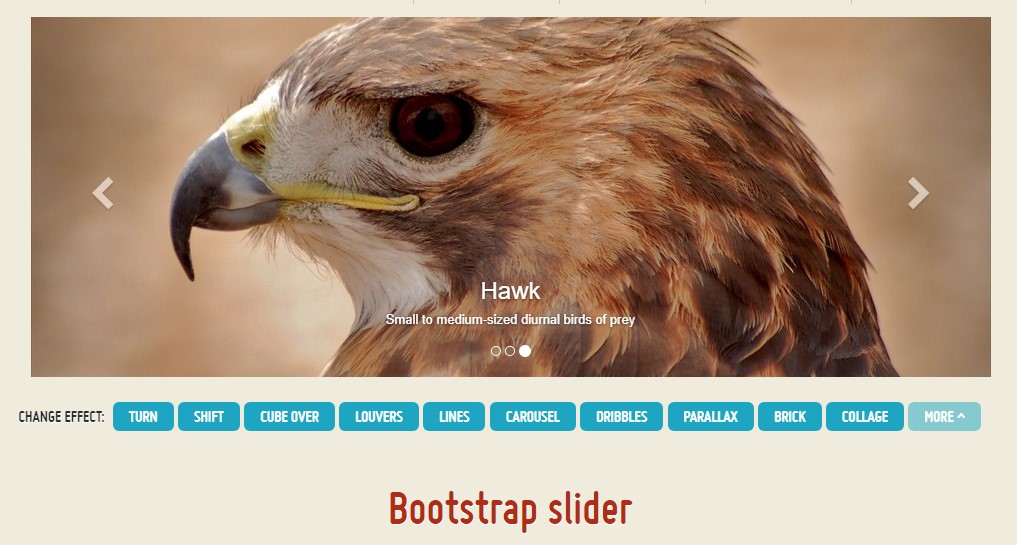  Carousel Slider In Bootstrap 